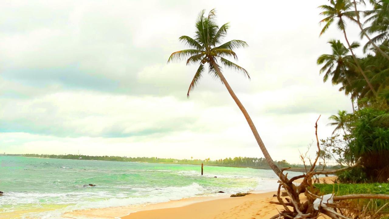 Akurala Beach Boutique Resort Экстерьер фото