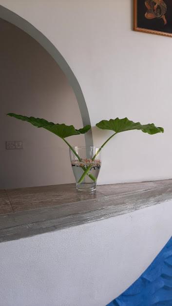 Akurala Beach Boutique Resort Экстерьер фото